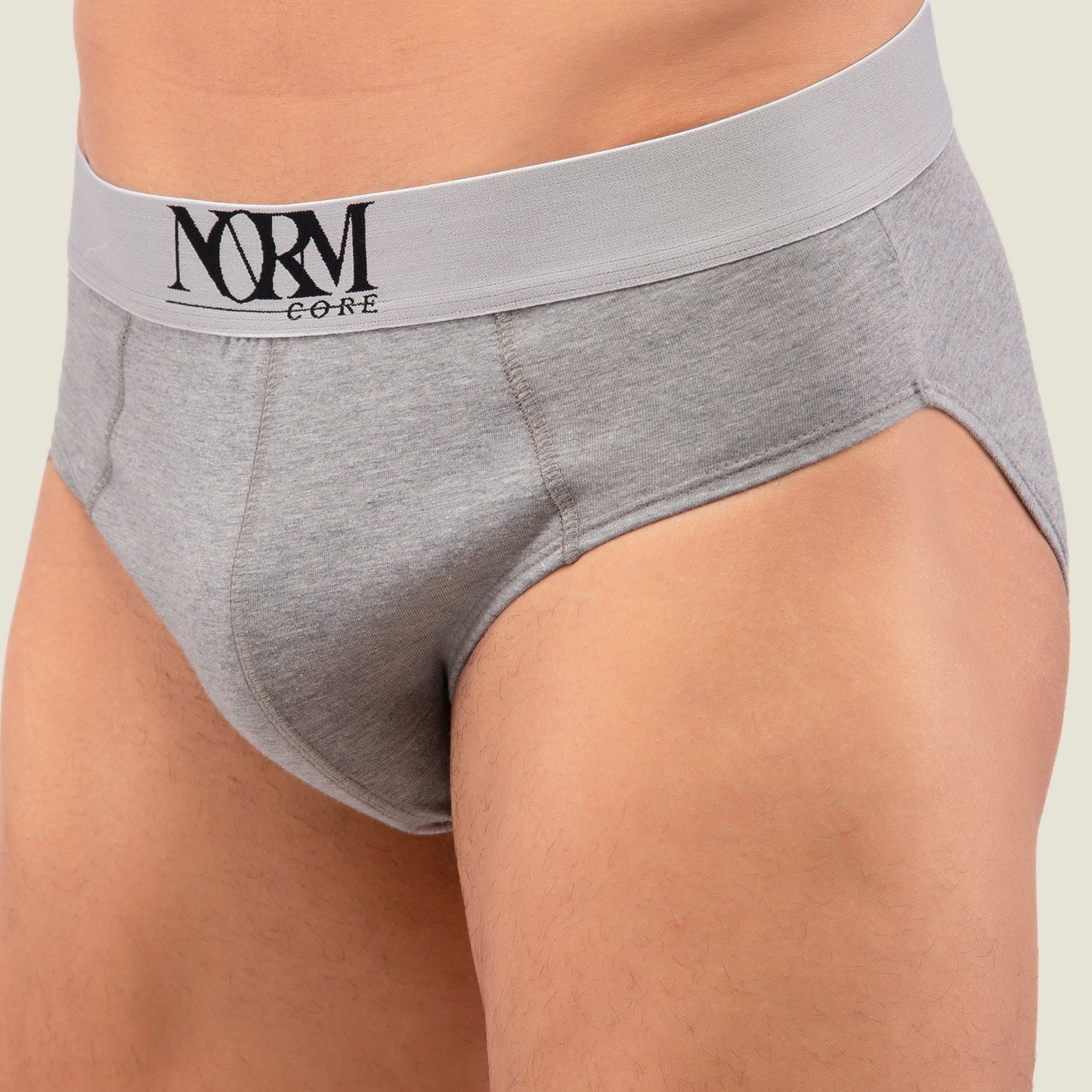 Grey Brief with Silver Waistband