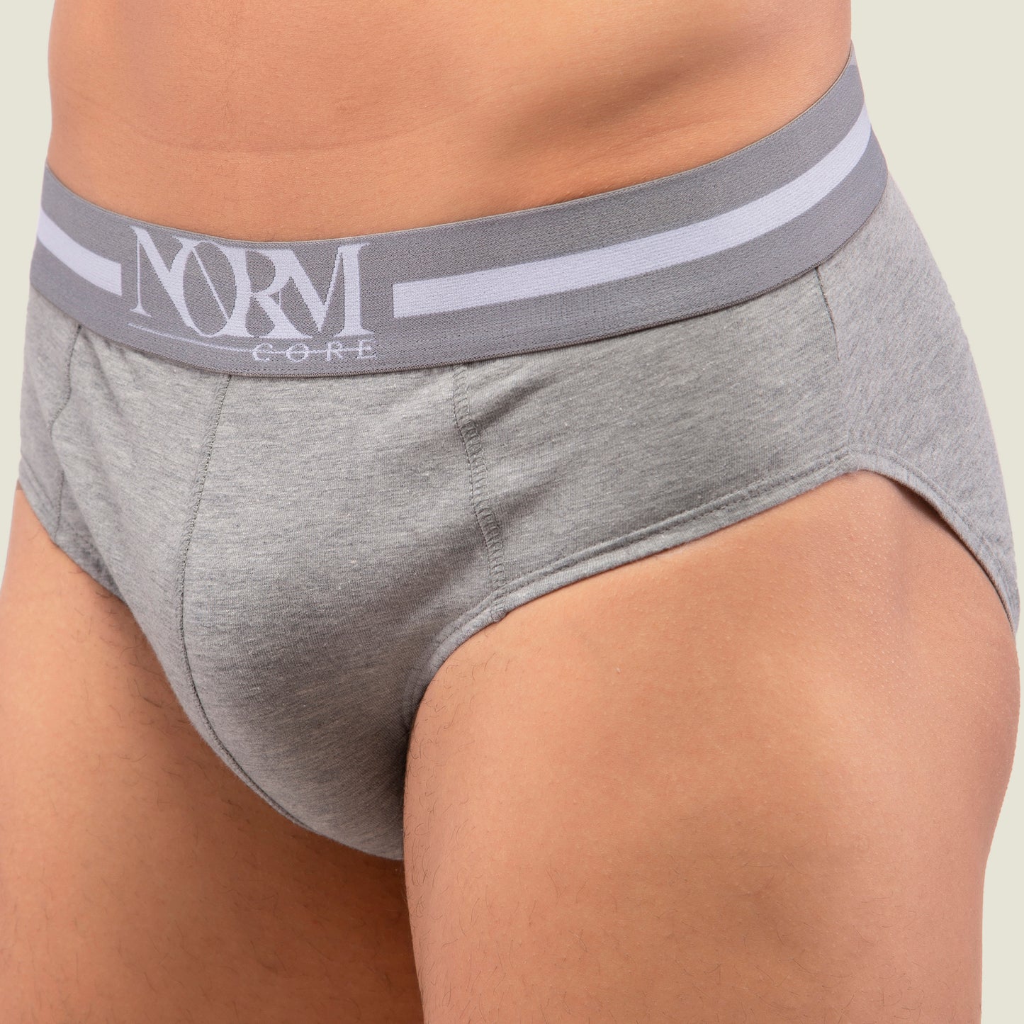 Grey Brief with Grey Waistband