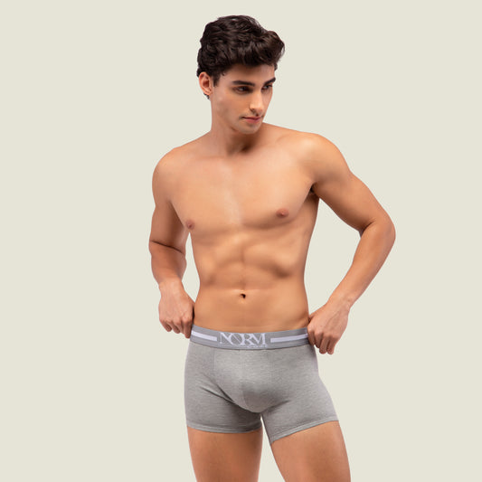 Grey Trunk with Grey Waistband