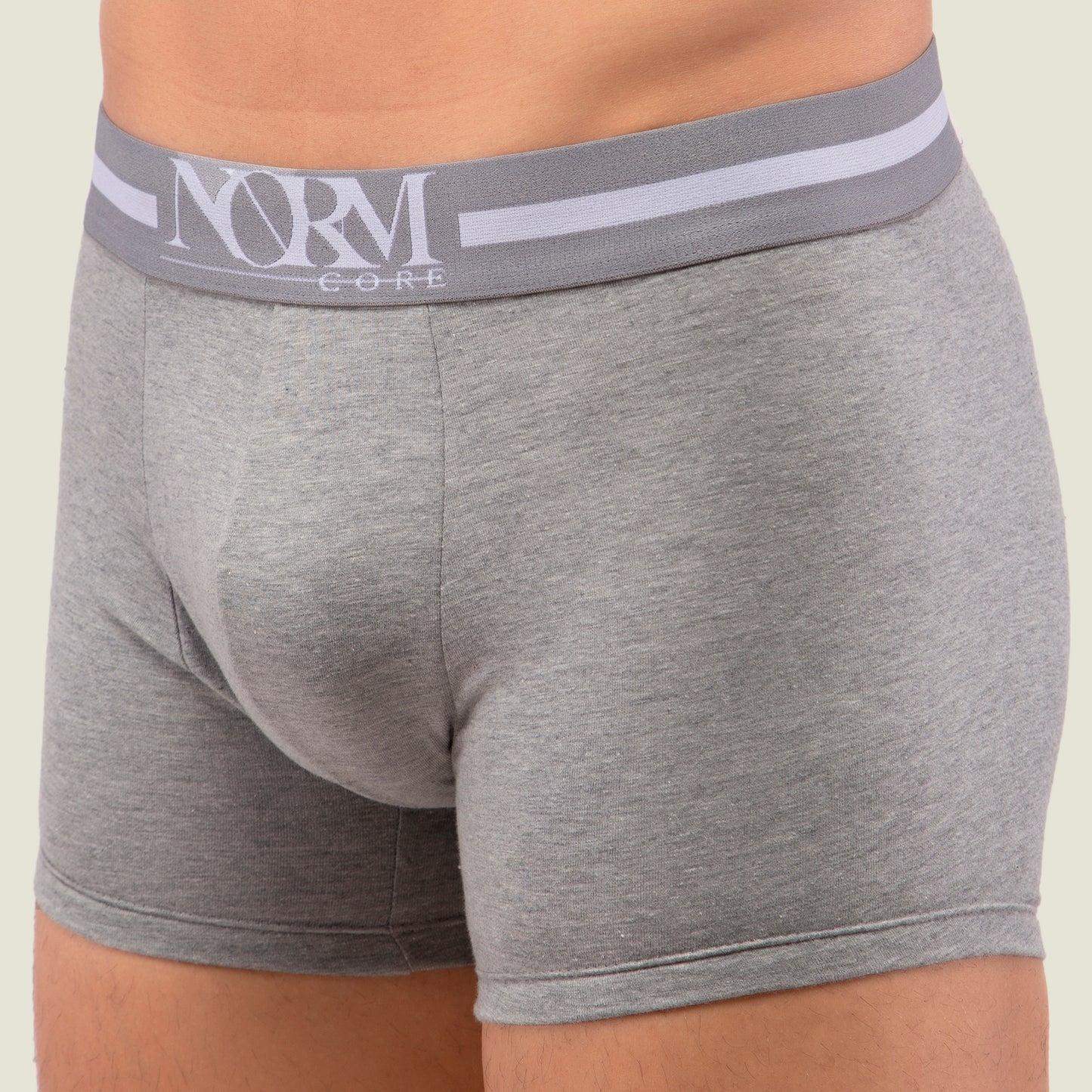 Grey Trunk with Grey Waistband